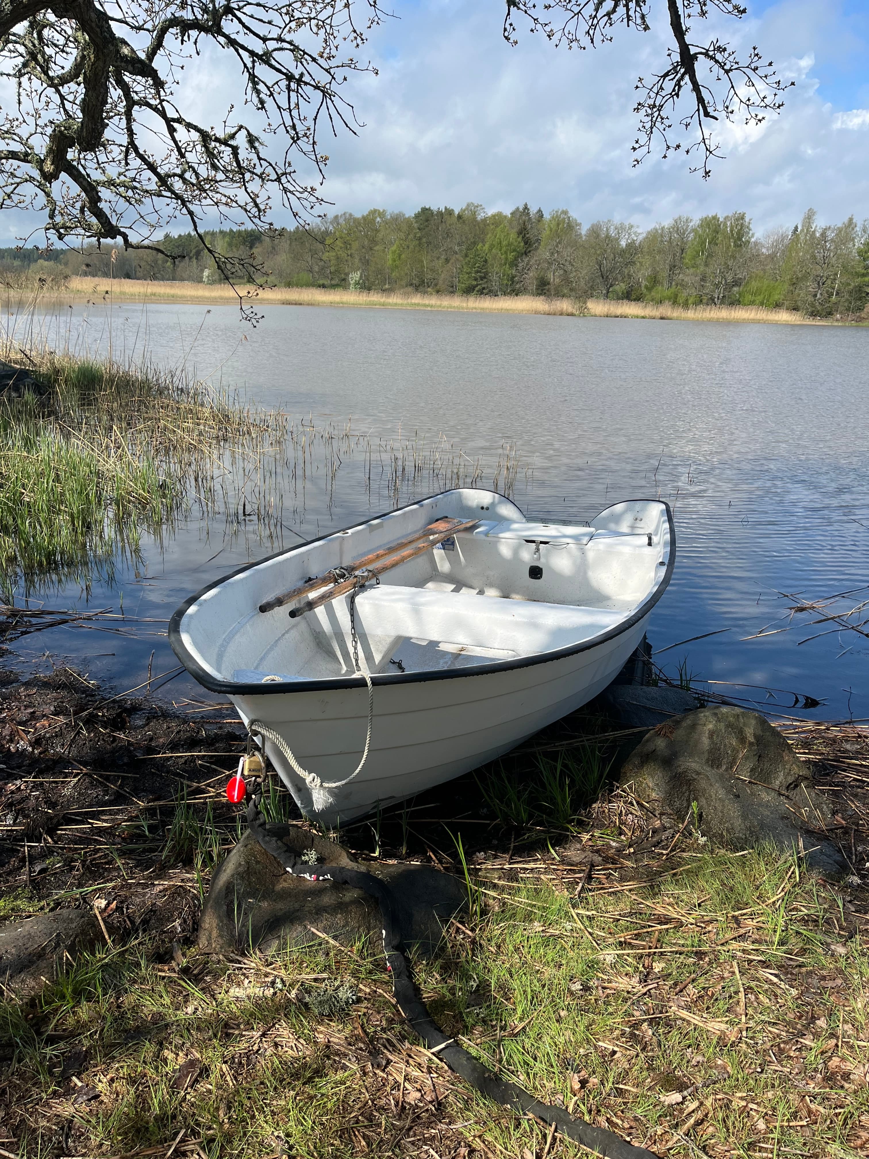 Båt